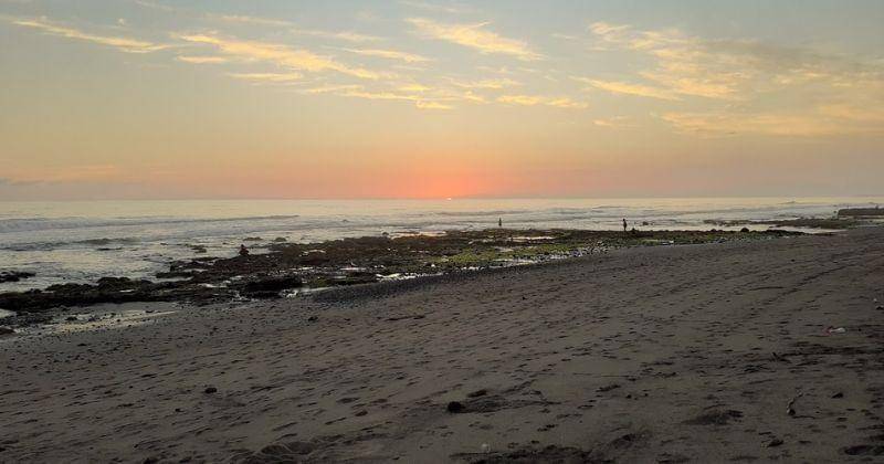 Google.com/Alexander Ohl